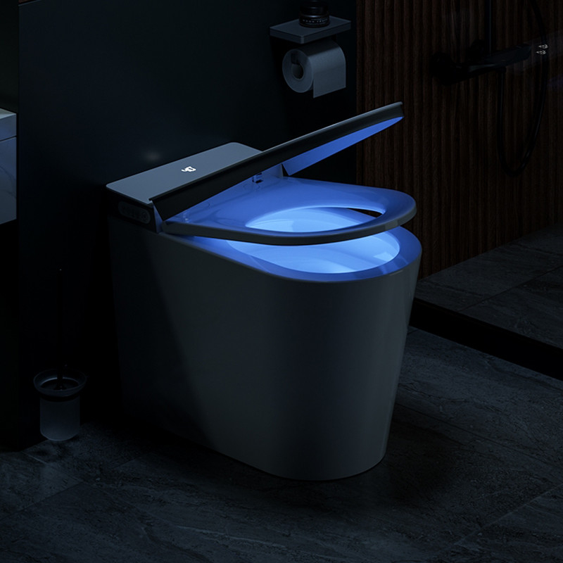 Keramischer Boden-einteiliges intelligentes intelligentes Toiletten-Schüssel elektrisches automatisches ebenes WC-Bidet