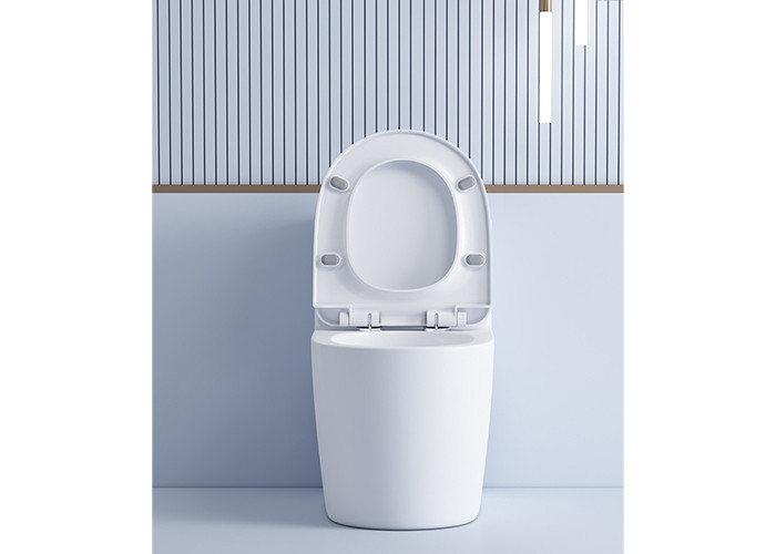 China Supply Sanitärkeramik Badezimmer Sanitär Washdown Einteilige WC Toiletten Sets Badezimmer Sanitärkeramik