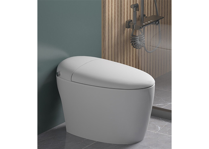 HOMIXE-Badezimmer-Luxus-Sensor-elektrisches automatisches ebenes WC-Bidet-keramischer Boden-Einteiler