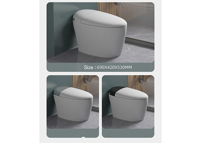 HOMIXE-Badezimmer-Luxus-Sensor-elektrisches automatisches ebenes WC-Bidet-keramischer Boden-Einteiler