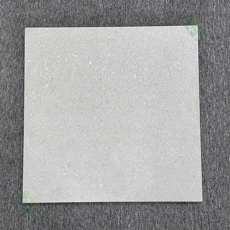 600*600mm nicht Beleg rauer Matte Finished Exterior Garden Pavers deckt Porzellan-Boden mit Ziegeln
