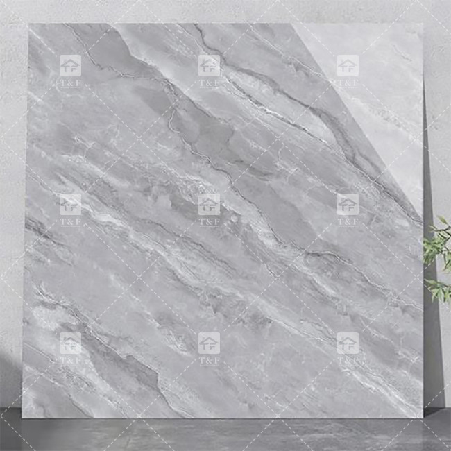 Luxuriöse Vollkörper-Marmor-Hochglanz-Porzellan-Verglasungsteile für das Wohnzimmer